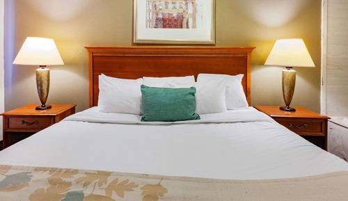 Deluxe Room, 1 King Bed, Non Smoking, Jetted Tub