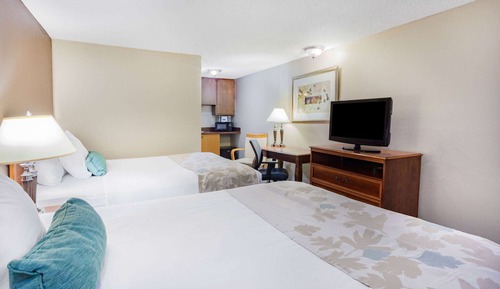 Room, 1 Queen Bed, Non Smoking (Efficiency)