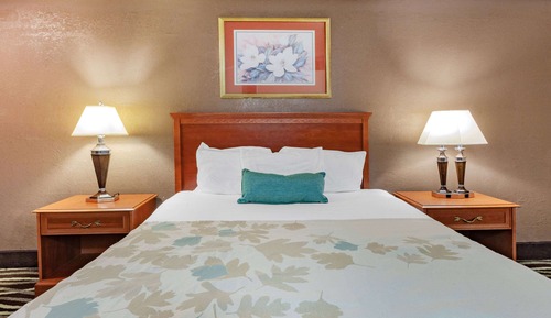 Room, 1 King Bed, Accessible, Non Smoking (Hearing, Mobility Bathtub w/Grab Bars)