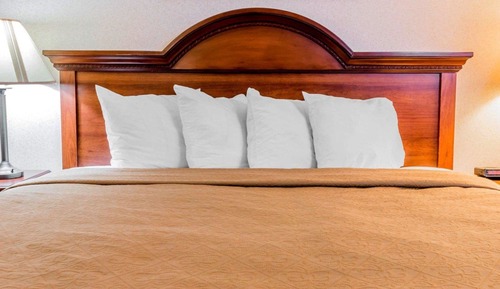 Standard Room, 1 King Bed, Non Smoking