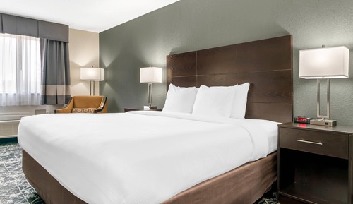Standard Room, 1 King Bed, Non Smoking