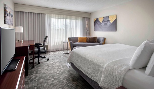 Room, 1 King Bed