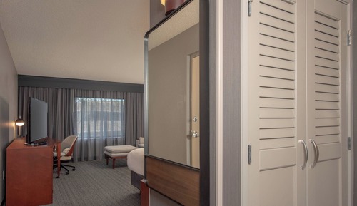 Room, 1 King Bed with Sofa bed (Hearing Accessible)