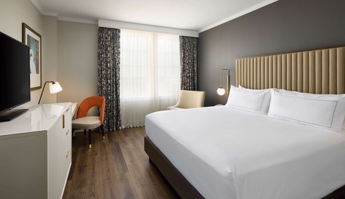 Room, 1 King Bed