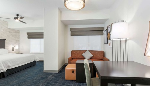 Studio, 1 King Bed, Accessible (Roll-In Shower)