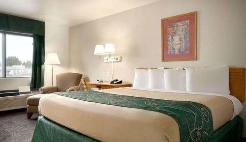 Room, 1 King Bed, Non Smoking