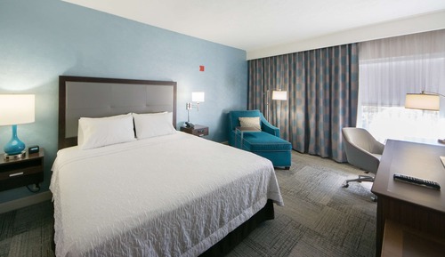 Room, 1 King Bed, Non Smoking