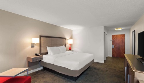 Room, 1 King Bed, Non Smoking
