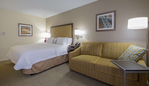 Room, 1 King Bed, Accessible, Non Smoking
