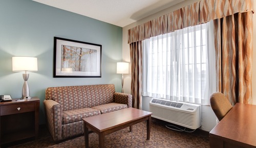 Suite, 1 King Bed with Sofa bed