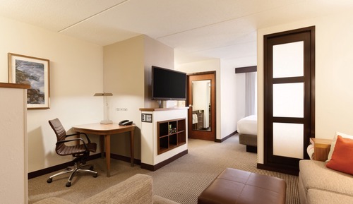 Room, 1 King Bed with Sofa bed, Accessible, Bathtub