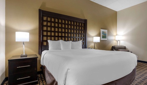 Suite, 1 King Bed with Sofa bed, Non Smoking
