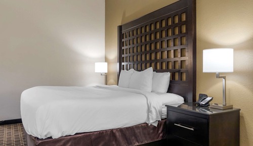 Standard Room, 1 King Bed, Non Smoking