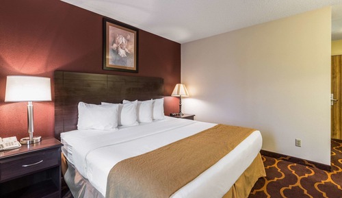 Standard Room, 1 King Bed, Non Smoking