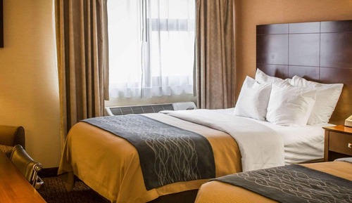 Room, 2 Queen Beds, Non Smoking (Pet Friendly)