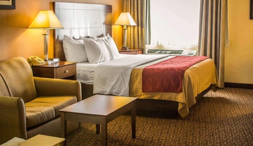 Suite, 1 King Bed with Sofa bed, Accessible, Non Smoking