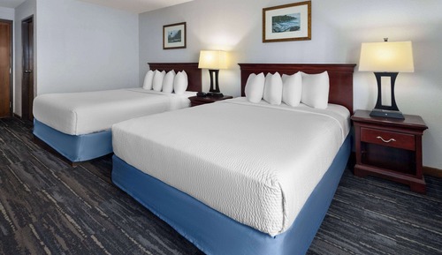 Studio Suite, Multiple Beds, Non Smoking