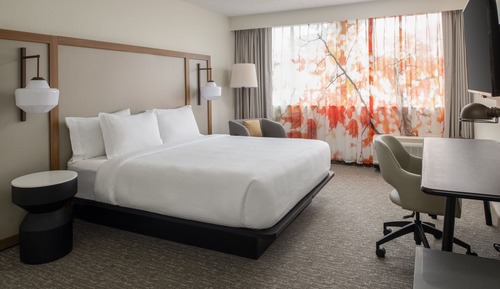 Room, 1 King Bed