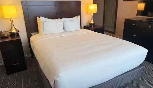 Standard Single Room, 1 Queen Bed