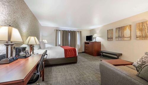 Standard Room, 1 King Bed with Sofa bed, Non Smoking, Refrigerator & Microwave (with Sofabed)
