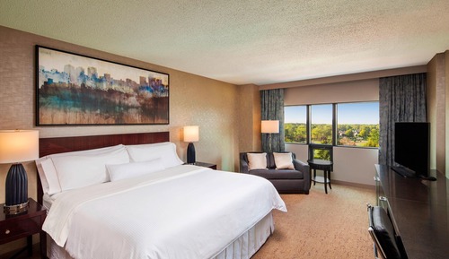 Executive Room, 1 King Bed