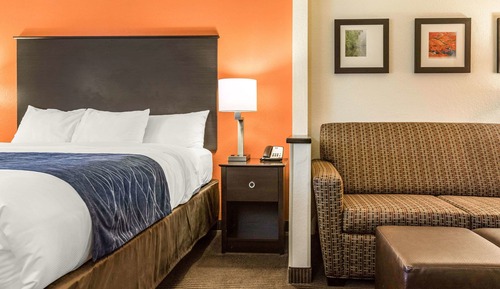 Suite, 1 King Bed with Sofa bed, Non Smoking (2 Person Sofa bed)