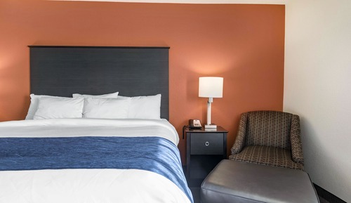 Standard Room, 1 King Bed, Non Smoking
