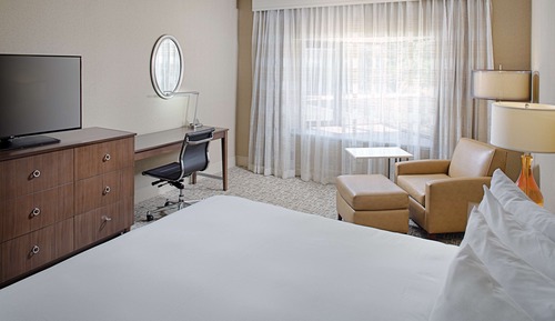 Standard Room, 1 King Bed with Sofa bed