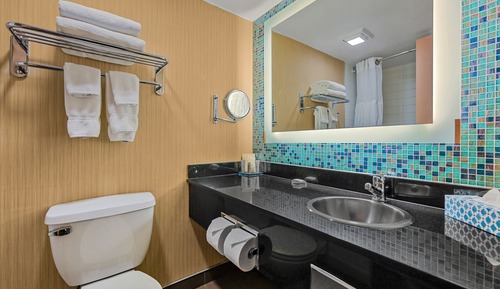 Premium Room, 1 King Bed with Sofa bed
