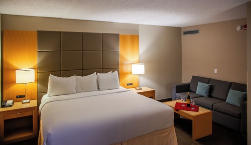 Premium Room, 1 King Bed with Sofa bed, Accessible