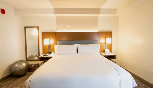 Suite, 1 King Bed with Sofa bed