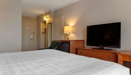 Standard Room, 1 King Bed, Non Smoking, Refrigerator