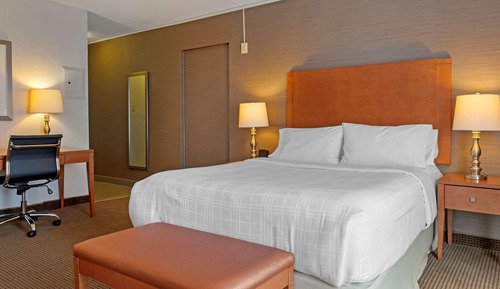 Standard Room, 1 Queen Bed, Accessible, Refrigerator