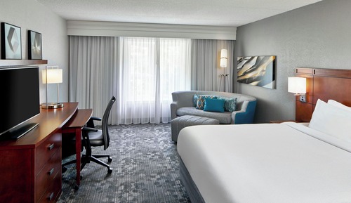 Room, 1 King Bed with Sofa bed
