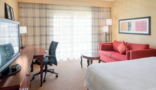 Room, 1 King Bed with Sofa bed (Hearing Accessible)