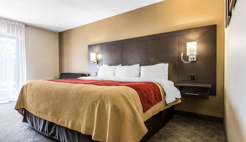Standard Room, 1 King Bed, Non Smoking