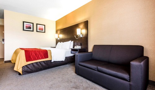Comfort Care, Standard Room, 1 Queen Bed with Sofa bed, Non Smoking