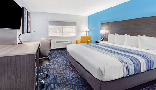 Room, 1 King Bed, Non Smoking