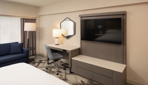 Room, 1 King Bed with Sofa bed