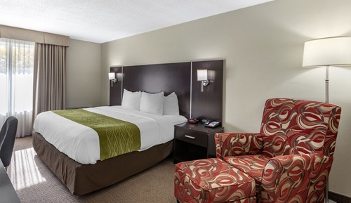 Business Room, 1 King Bed, Non Smoking