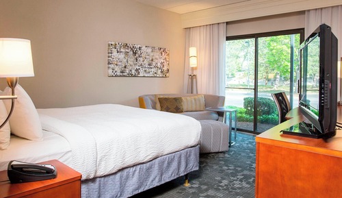 Room, 1 King Bed, Non Smoking (Mobility/Hearing Access, Roll-in Shwr)