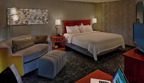 Room, 1 King Bed with Sofa bed