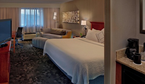 Room, 1 King Bed with Sofa bed (Mobility Accessible, Tub)