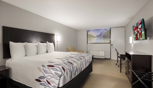 Superior Room, 1 King Bed, Non Smoking