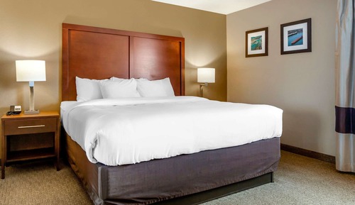Standard Room, 1 King Bed, Non Smoking