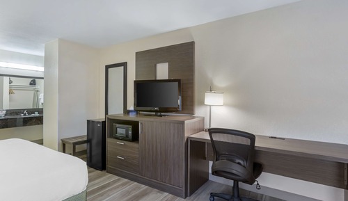 Suite, 1 King Bed with Sofa bed, Non Smoking, Kitchen (with Sofabed)