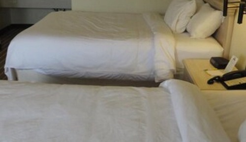 Standard Room, 2 Queen Beds