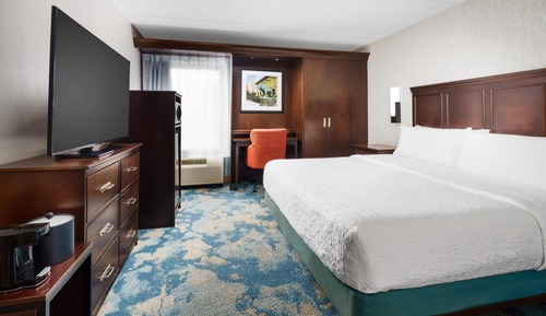 Room, 1 King Bed, Accessible, Bathtub (View)