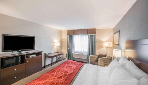 Standard Room, 1 King Bed, Non Smoking