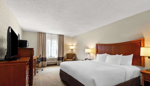 Business Room, 1 King Bed, Non Smoking